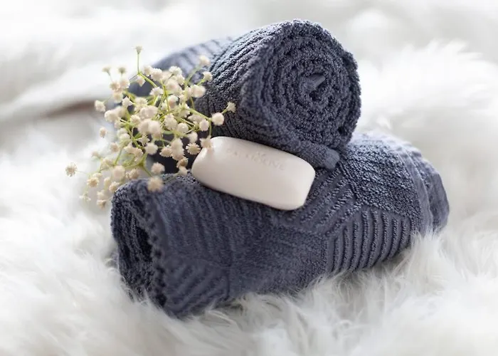 公寓 Ausstattung Netflix Wlan Centro Olga-park *